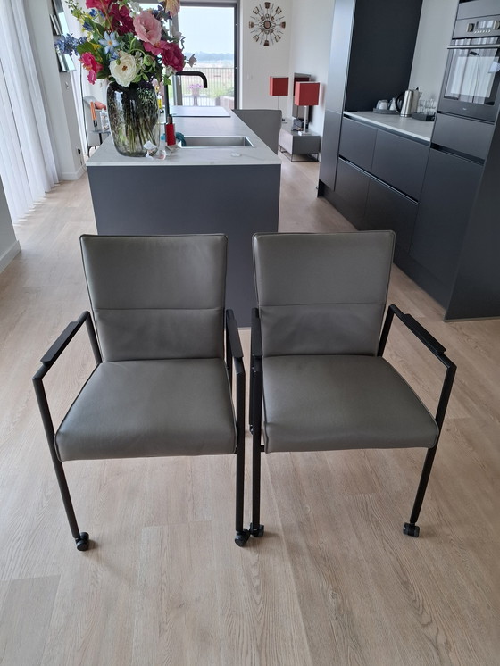 Image 1 of 6 DINING CHAIRS TOPFORM LINA TOLEDO SMOG, FRAME BLACK, CASTERS