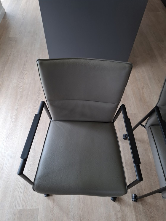 Image 1 of 6 DINING CHAIRS TOPFORM LINA TOLEDO SMOG, FRAME BLACK, CASTERS