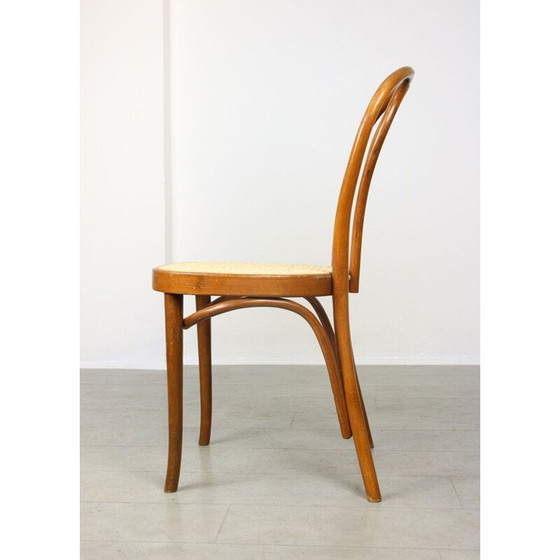 Image 1 of Pair of vintage chairs No.218 by Michael Thonet