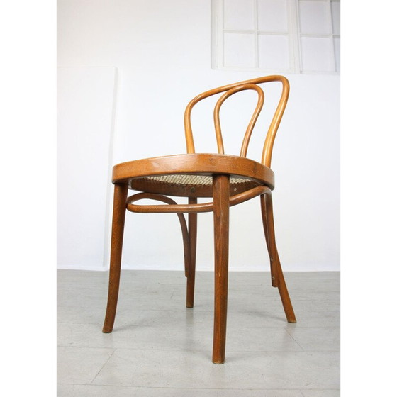 Image 1 of Pair of vintage chairs No.218 by Michael Thonet