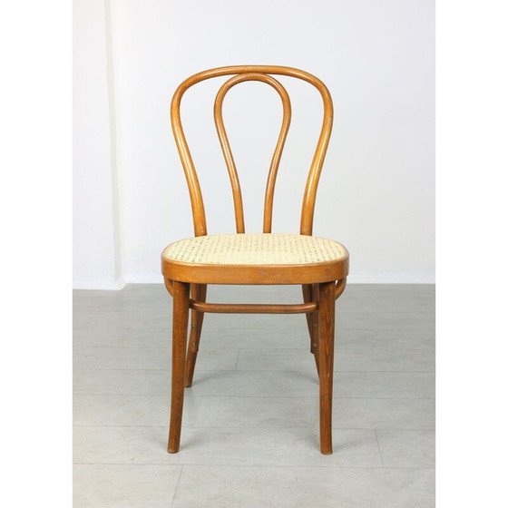 Image 1 of Pair of vintage chairs No.218 by Michael Thonet