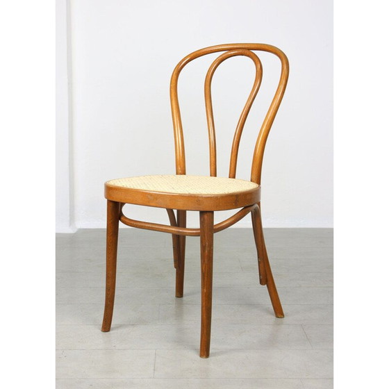 Image 1 of Pair of vintage chairs No.218 by Michael Thonet