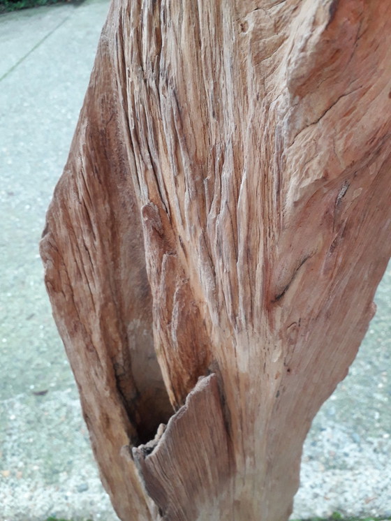 Image 1 of Teak trunk on base 143 cm high