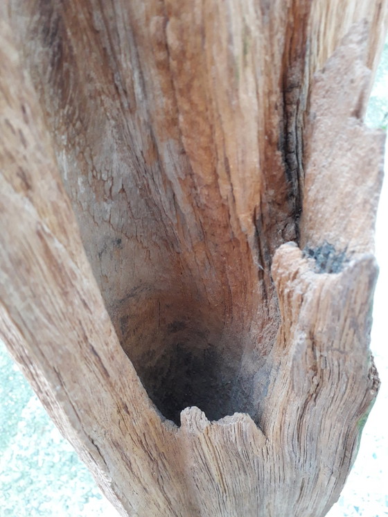 Image 1 of Teak trunk on base 143 cm high