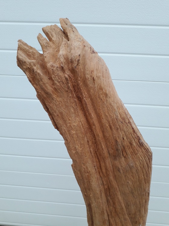 Image 1 of Teak trunk on base 143 cm high