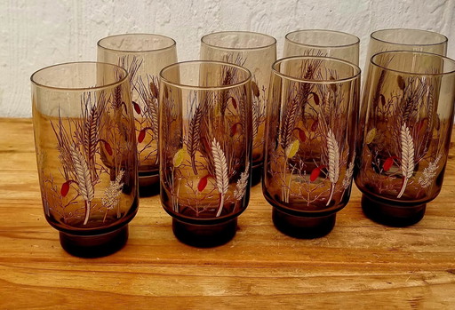 Set Of 8 Arcopal Orangeade Glasses Model Tivoli