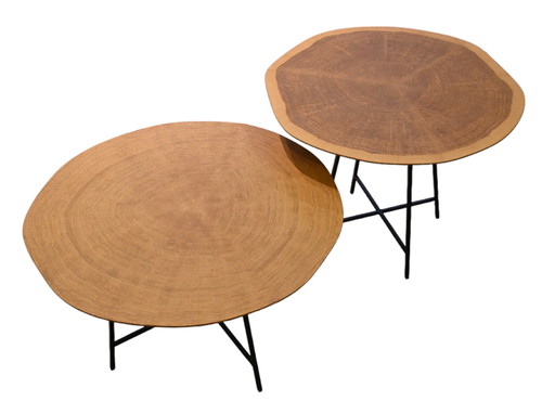 ALBURNI LucidiPevere Cinna pair of side tables