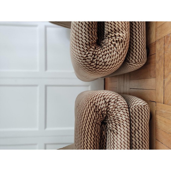 Image 1 of Pair of vintage armchairs for Sapolli, Italy 1970