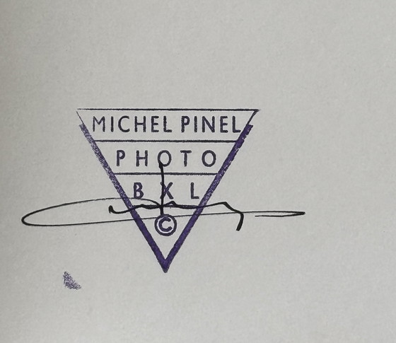 Image 1 of Michel Pinel 1949-2022 Sublime Artistic Collection Photo