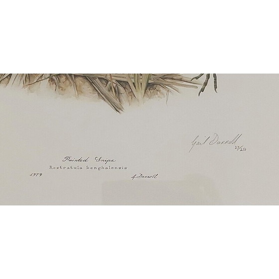 Image 1 of Pair of vintage numbered lithographs by Gail Denise Darroll, 1979