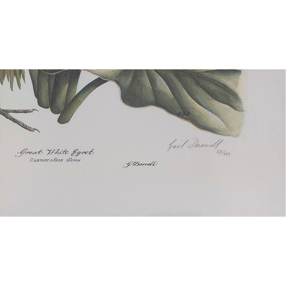 Image 1 of Pair of vintage numbered lithographs by Gail Denise Darroll, 1979