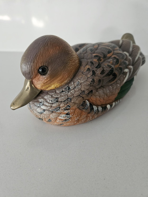 Image 1 of Elli Malevolti Duck