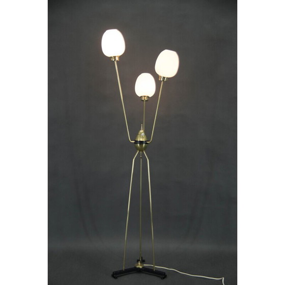 Image 1 of Vintage three-arm floor lamp, Italy 1960