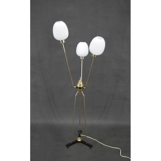 Image 1 of Vintage three-arm floor lamp, Italy 1960