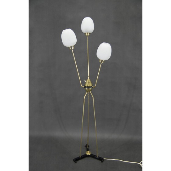 Image 1 of Vintage three-arm floor lamp, Italy 1960