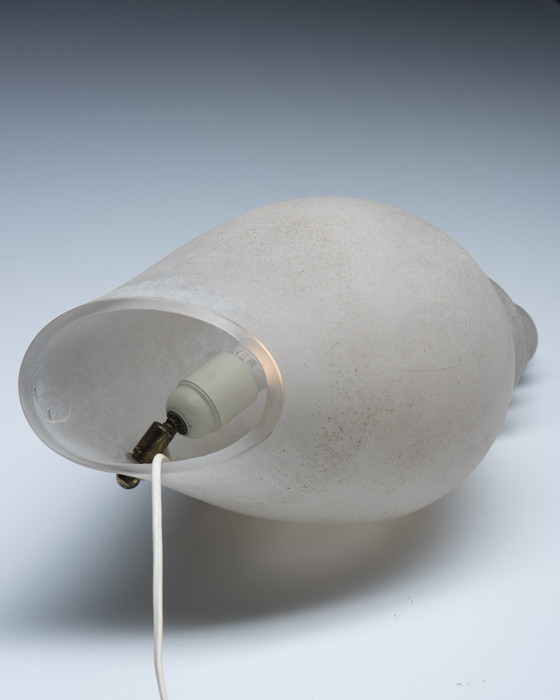 Image 1 of Italian Shell Table Lamp