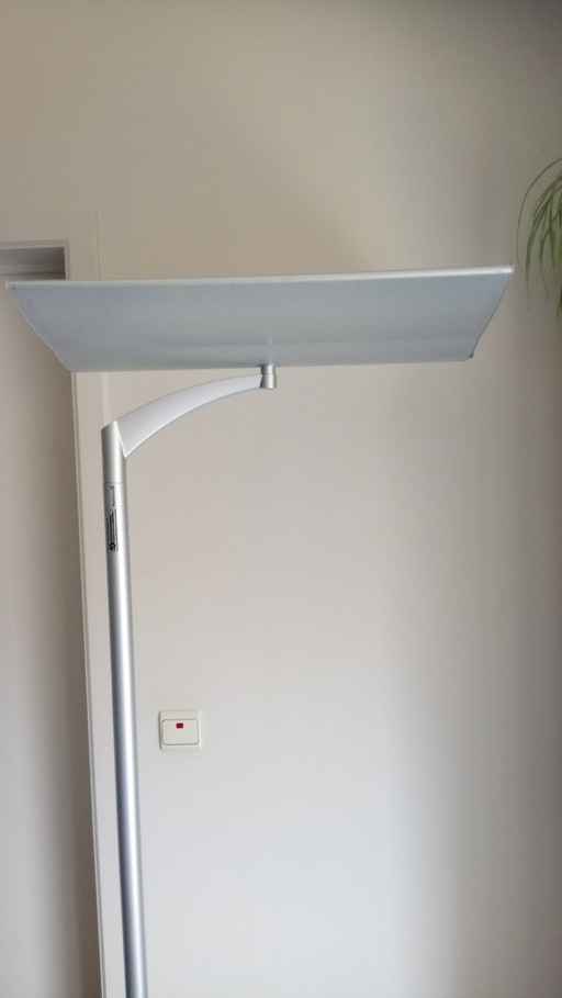 Waldman floor lamp