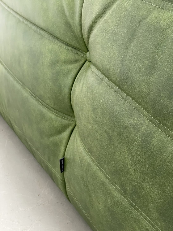 Image 1 of Divano a 2 posti in pelle verde vintage Togo di Ligne Roset