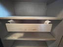 Pastoe closet 1950s teak and birch