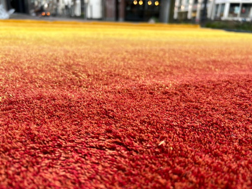 Millenerpoort corso carpet