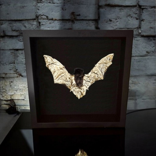 Genuine Bat Gilded In 23Ct Gold In Frame - Limited Edition