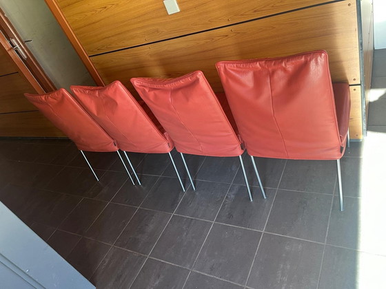 Image 1 of 4X Montis Face Dining Chairs by Gerard v d Berg