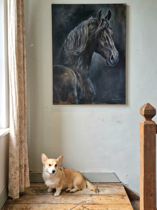 Nanouk Weijnen - Friesian horse