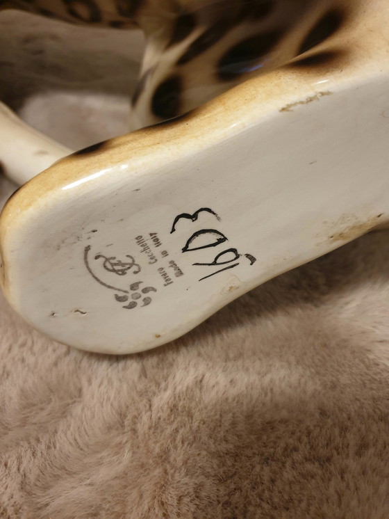 Image 1 of Favaro Checcheto Panter Xxl 