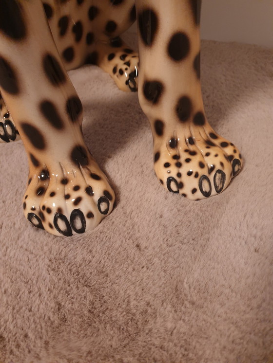 Image 1 of Favaro Checcheto Panter Xxl 