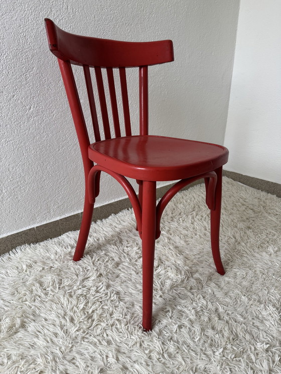Image 1 of Silla de bistró de madera curvada de la década de 1950 en Argelia