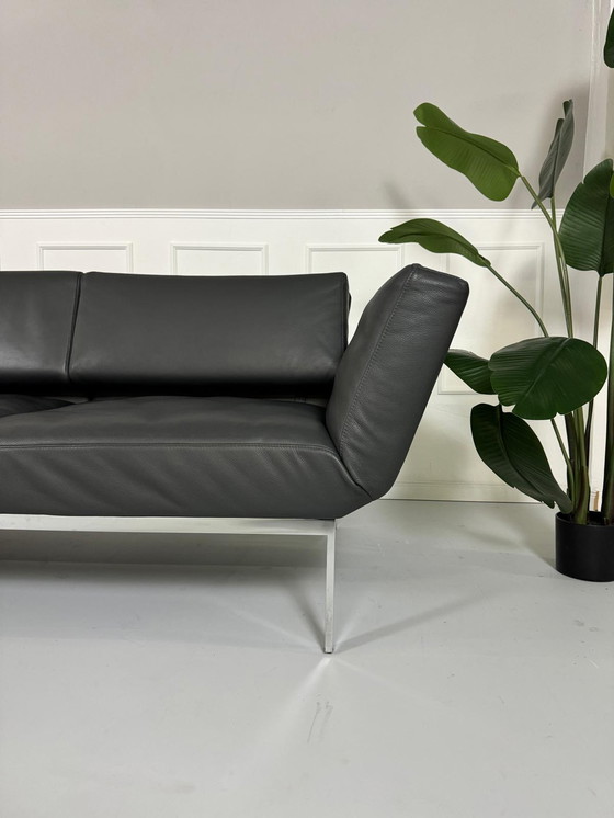 Image 1 of Brühl Roro Soft leather sofa exhibition piece