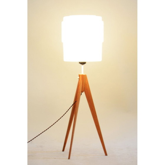 Image 1 of Mid century tripodes floor lamp, 1950s