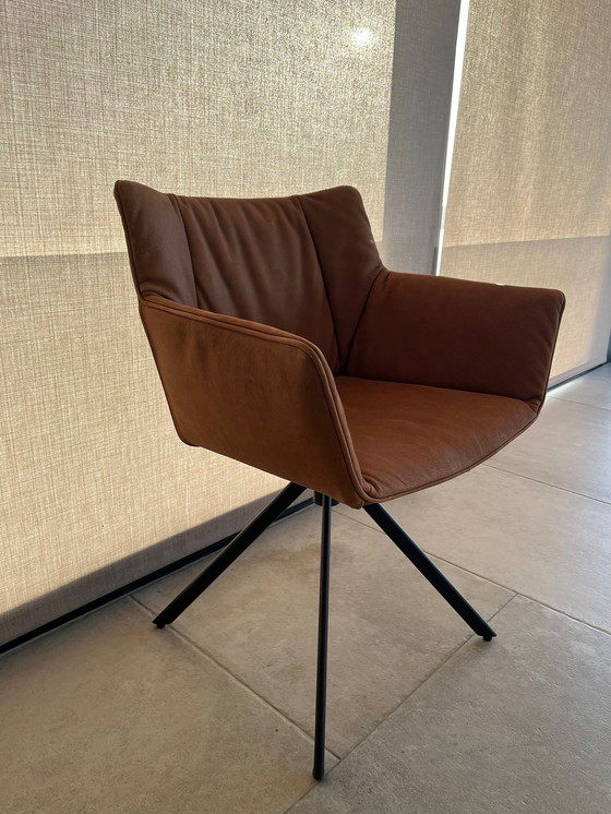 Image 1 of 4x Label Gustav Dining Chair