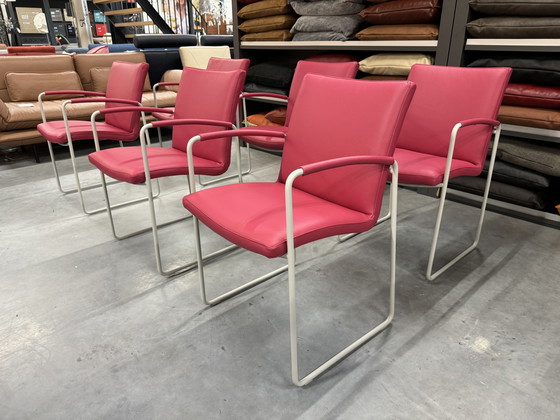 Image 1 of 6 chaises de salle à manger Leolux Talos en cuir rose