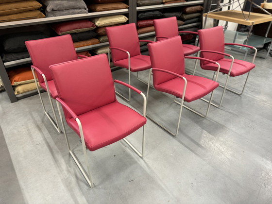 Image 1 of 6 chaises de salle à manger Leolux Talos en cuir rose