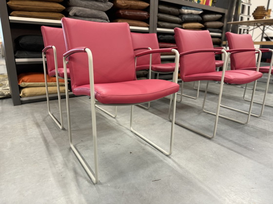 Image 1 of 6 chaises de salle à manger Leolux Talos en cuir rose