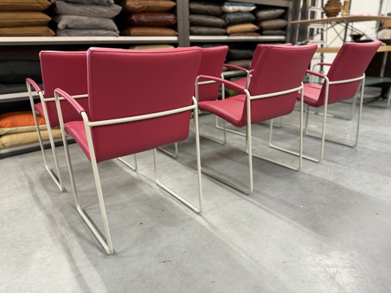 Image 1 of 6 chaises de salle à manger Leolux Talos en cuir rose