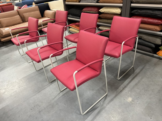 Image 1 of 6 chaises de salle à manger Leolux Talos en cuir rose