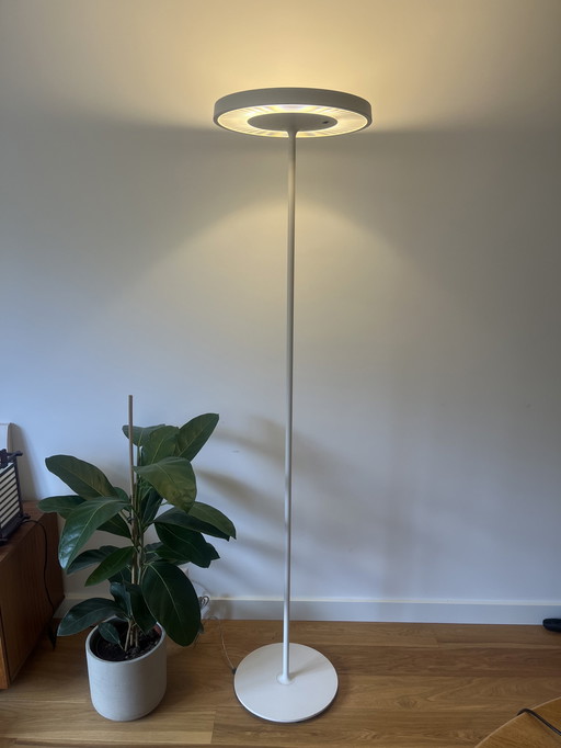 Belux Disk Daniel Kübler floor lamp