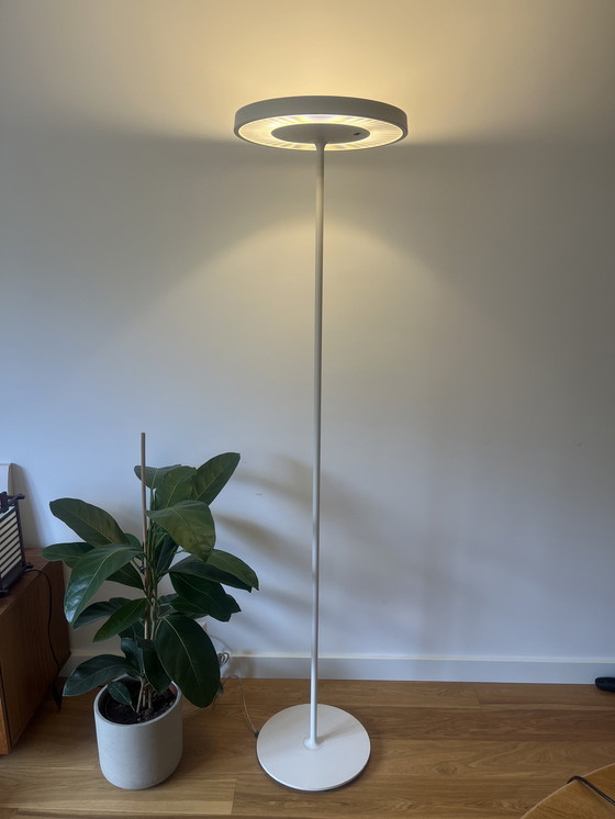 Image 1 of Belux Disk Daniel Kübler floor lamp