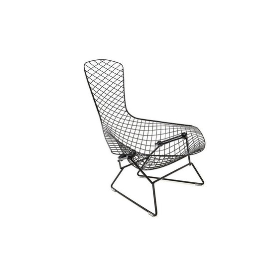 Image 1 of Vintage "Bird" armchair by Harry Bertoia for Knoll International, 1970s