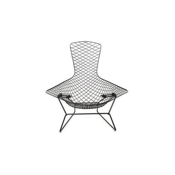 Image 1 of Vintage "Bird" armchair by Harry Bertoia for Knoll International, 1970s