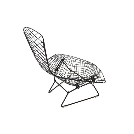 Image 1 of Vintage "Bird" armchair by Harry Bertoia for Knoll International, 1970s