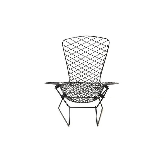 Image 1 of Vintage "Bird" armchair by Harry Bertoia for Knoll International, 1970s