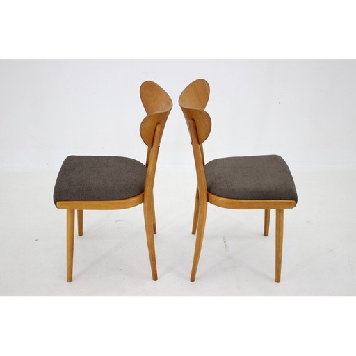 Set of 4 vintage chairs, Czechoslovakia 1950