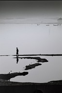 - Foto sobre di-bond