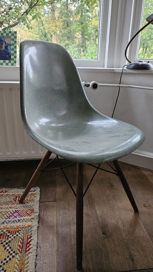 4x Dsw Eames Glassfiber Chairs Vintage