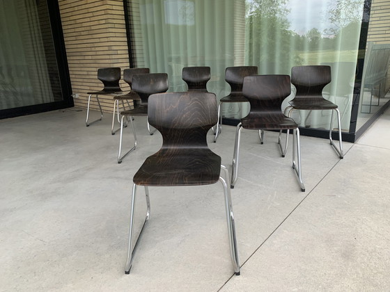 Image 1 of Pagwood Chairs By Adam Stegner For Flötotto