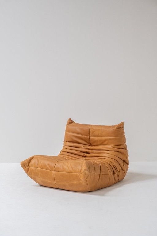 Togo One Seater By Michel Ducaroy For Ligne Roset