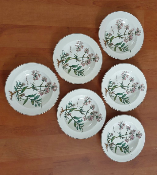 6X Deep Plate Botanica, Villeroy En Boch